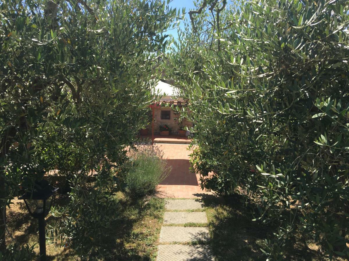 Villa Casa Del Sole Montespertoli Exterior foto